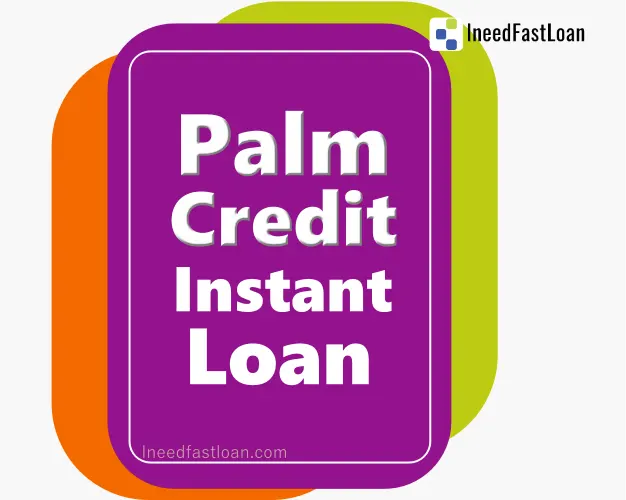 Palmcredit Instant Loan